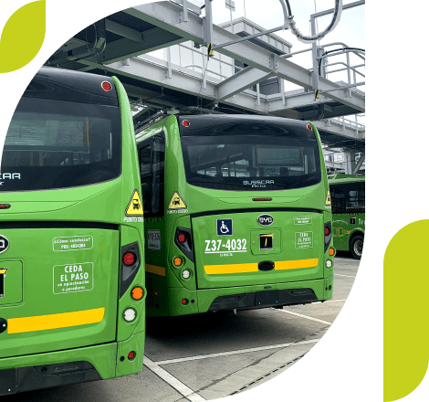 Dos buses verdes de La Rolita con una pegatina de discapacidad.