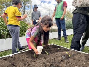 Niña de 8 años sembrando plantas en la huerta de La Rolita